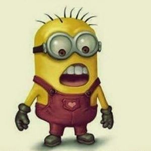 Meet your Posher, Janet