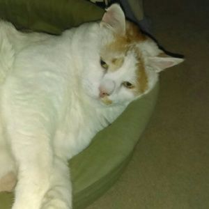 Meet your Posher, Vonnie