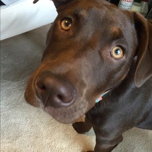 Meet your Posher, Elizabeth