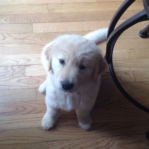 Meet your Posher, Tyler