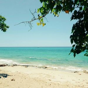 Meet your Posher, Halima