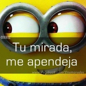 Meet your Posher, Daisy