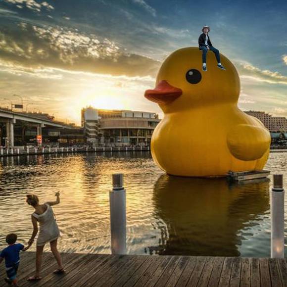 Meet your Posher, David - Picture 1 of 1