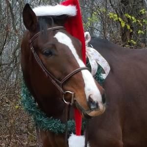 Meet your Posher, Ashlei