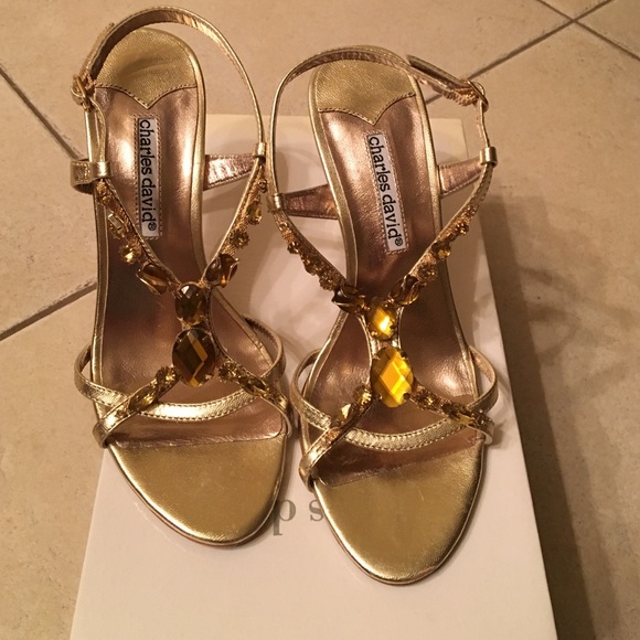 Charles David shoes