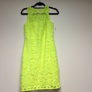 J.crew collection dress