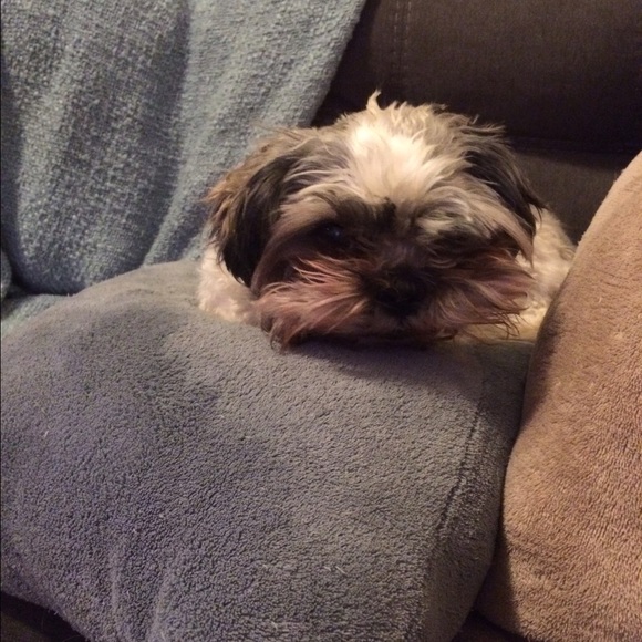 Meet your Posher, Kelly - Picture 1 of 1