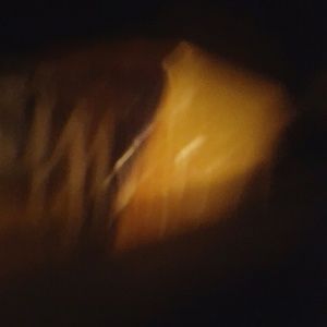 Meet your Posher, Leona