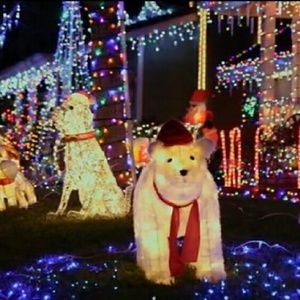 Meet your Posher, Jess