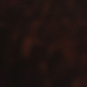 Meet your Posher, Elaina