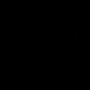 Meet your Posher, Dalila