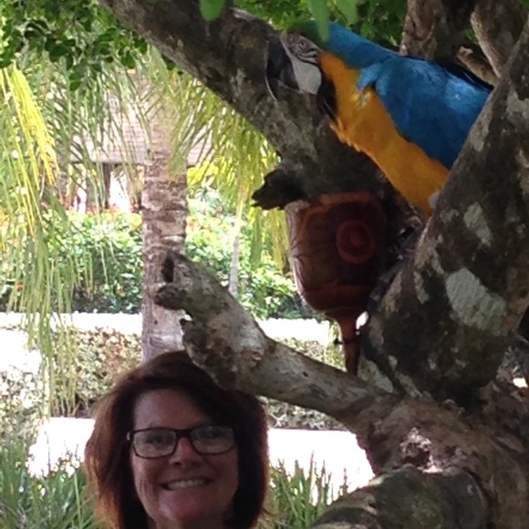 Meet your Posher, Denise - Picture 1 of 1