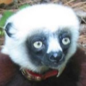 Meet your Posher, Sophiab