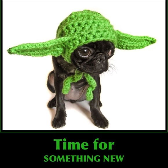 Check out my closet!