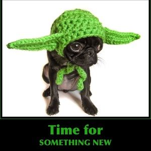 Check out my closet!