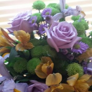 Meet your Posher, Caroline