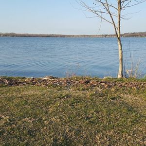 Meet your Posher, Shay