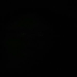 Meet your Posher, Sherry