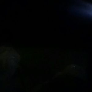 Meet your Posher, Caleb