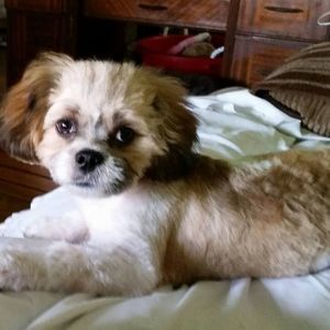 Meet your Posher, Barbara