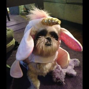 Meet your Posher, Laura