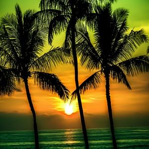 Meet your Posher, Zena