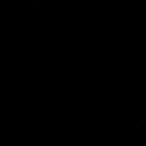 Meet your Posher, Lydia