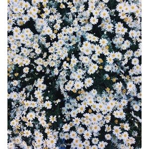 Meet your Posher, Rocio