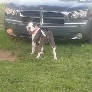 Meet your Posher, Mandy