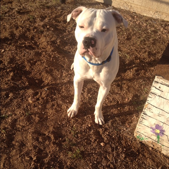 Meet your Posher, Kristin - Picture 1 of 1