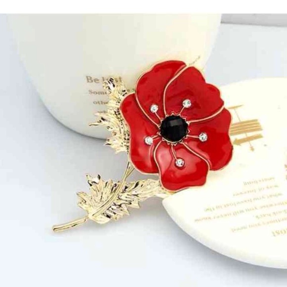 Red Brooche