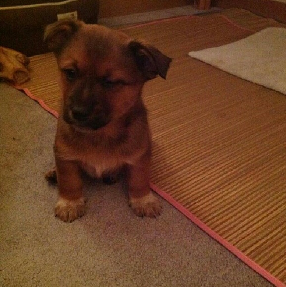 Meet your Posher, Asia