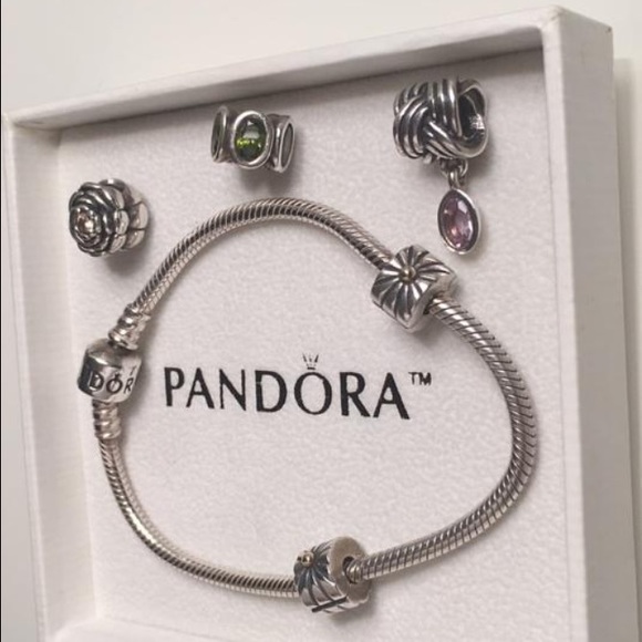 Pandora Bracelet With 2 Clips and 3 Charms Pandora Bracelet With 2 Clips and 3 Charms