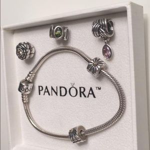 Pandora Bracelet With 2 Clips and 3 Charms