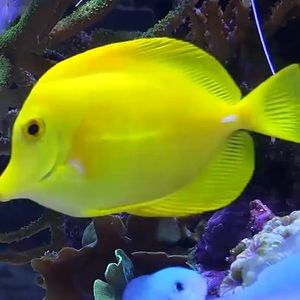 Meet your Posher, Bryce