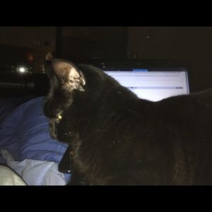 Meet your Posher, Amber