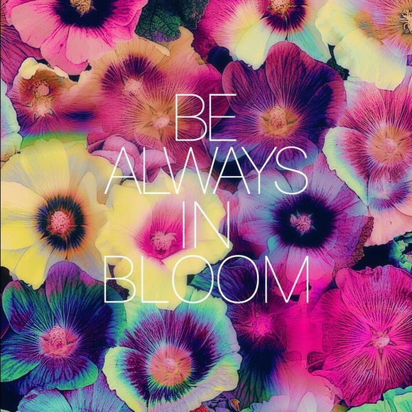 Meet your Posher, Nia - Picture 1 of 1