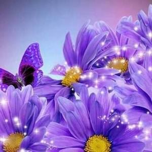 Meet your Posher, Shirley