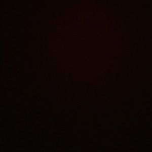 Meet your Posher, Maya