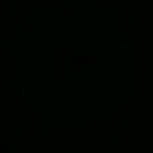 Meet your Posher, Irma