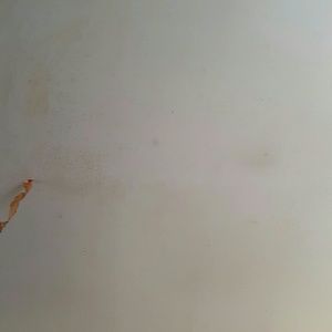 Meet your Posher, Felicia