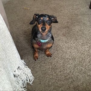 Meet your Posher, Jade