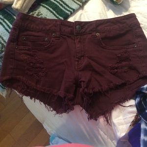 Hi Rise Shorts Burgundy