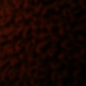 Meet your Posher, Vicky