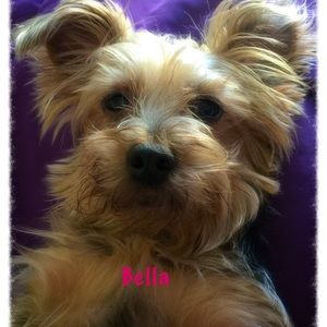 Meet your Posher, Brenda