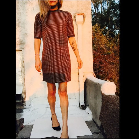 Zara - Picture 4 of 4