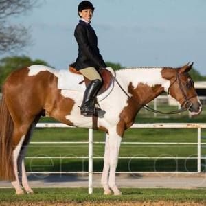 Meet your Posher, Karissa