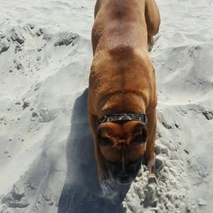 Meet your Posher, Karen