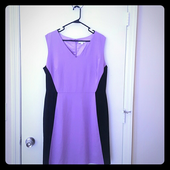 Size 16 NY & Co. Lavender Dress with Black Panels