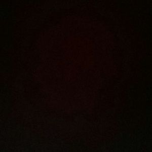 Meet your Posher, Jonas